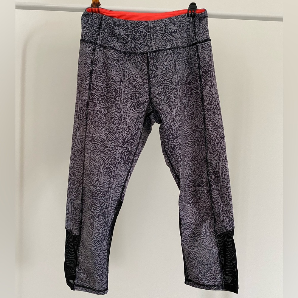 Spandex Workout Tights